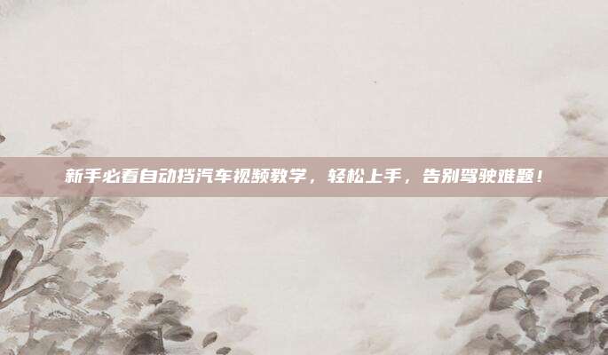 新手必看自动挡汽车视频教学,轻松上手,告别驾驶难题!