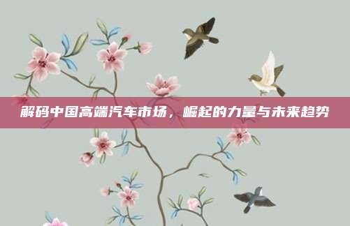 解码中国高端汽车市场,崛起的力量与未来趋势