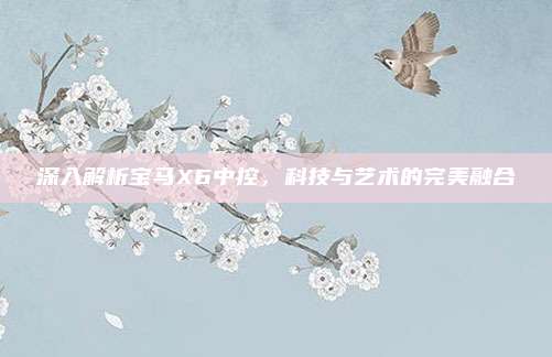 深入解析宝马X6中控,科技与艺术的完美融合