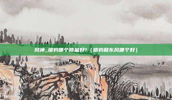风神_猎豹哪个质量好?（猎豹和东风哪个好）