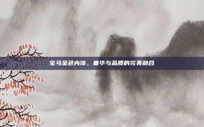 宝马金色内饰,奢华与品质的完美融合
