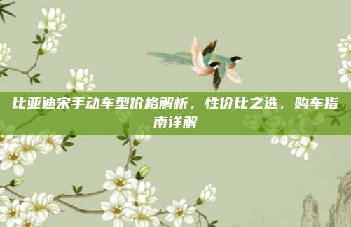 比亚迪宋手动车型价格解析，性价比之选，购车指南详解