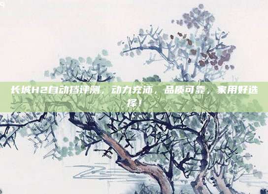 长城H2自动挡评测,动力充沛,品质可靠,家用好选择!