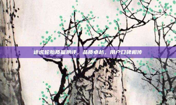 途虎轮胎质量测评，品质卓越，用户口碑相传