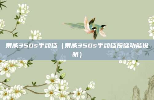 荣威350s手动挡(荣威350s手动挡按键功能说明)