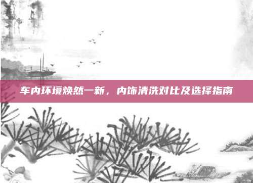 车内环境焕然一新，内饰清洗对比及选择指南