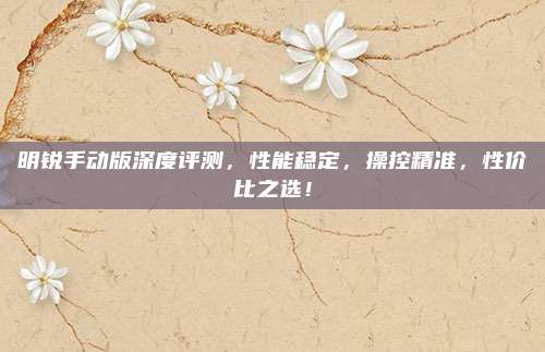 明锐手动版深度评测,性能稳定,操控精准,性价比之选!
