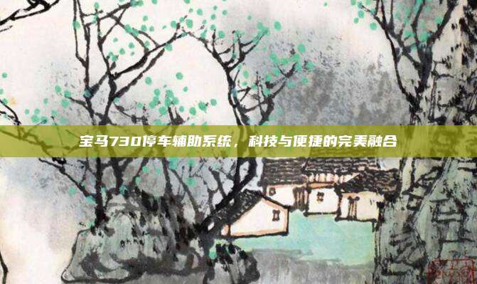 宝马730停车辅助系统,科技与便捷的完美融合