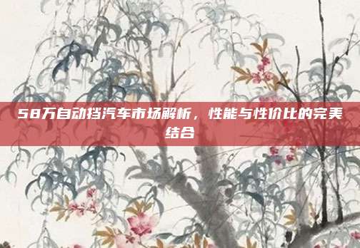 58万自动挡汽车市场解析,性能与性价比的完美结合