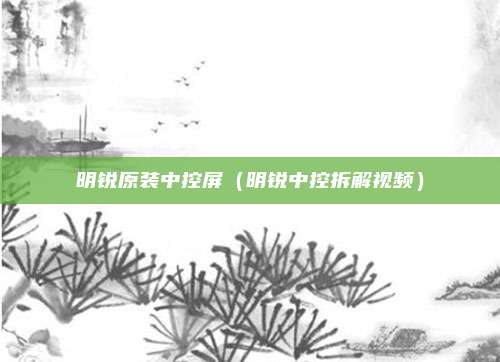 明锐原装中控屏（明锐中控拆解视频）