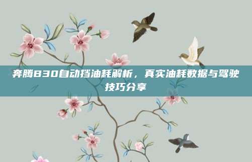 奔腾B30自动挡油耗解析,真实油耗数据与驾驶技巧分享