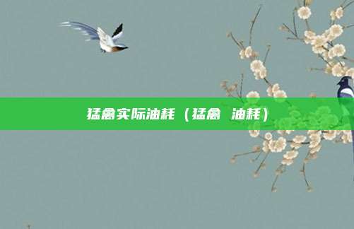 猛禽实际油耗（猛禽 油耗）