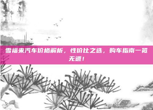 雪福来汽车价格解析,性价比之选,购车指南一览无遗!