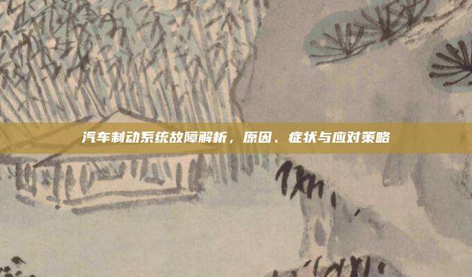 汽车制动系统故障解析,原因、症状与应对策略