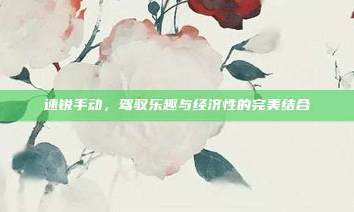 速锐手动,驾驭乐趣与经济性的完美结合