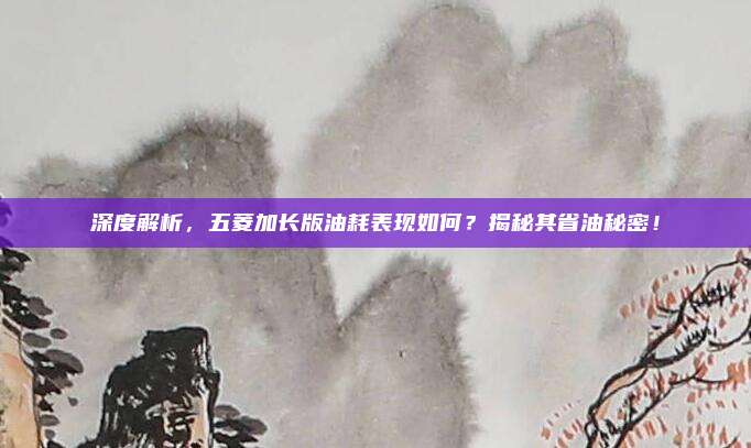 深度解析,五菱加长版油耗表现如何?揭秘其省油秘密!