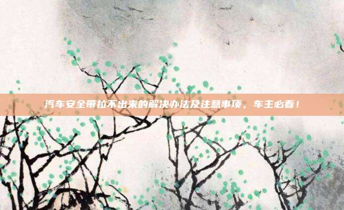 汽车安全带拉不出来的解决办法及注意事项,车主必看!