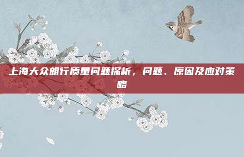 上海大众朗行质量问题探析,问题、原因及应对策略