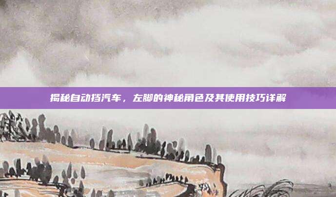揭秘自动挡汽车,左脚的神秘角色及其使用技巧详解
