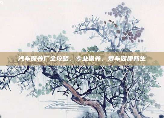 汽车保养厂全攻略,专业保养,爱车健康新生