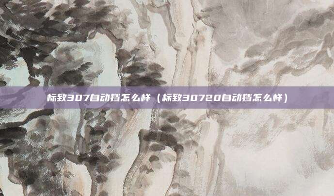 标致307自动挡怎么样（标致30720自动挡怎么样）