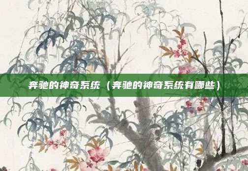 奔驰的神奇系统（奔驰的神奇系统有哪些）