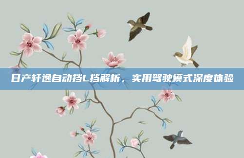 日产轩逸自动挡L挡解析,实用驾驶模式深度体验