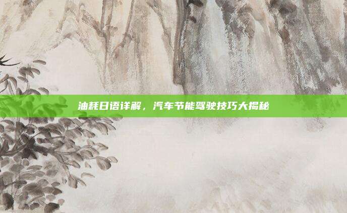 油耗日语详解,汽车节能驾驶技巧大揭秘