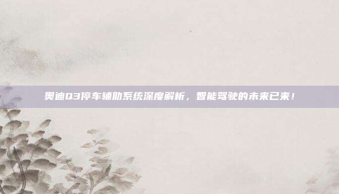 奥迪Q3停车辅助系统深度解析,智能驾驶的未来已来!