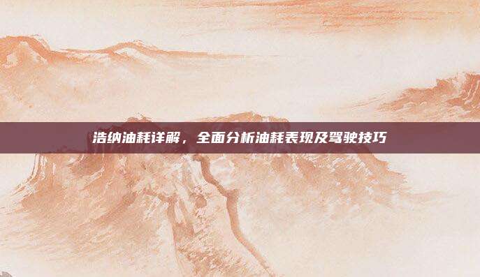 浩纳油耗详解,全面分析油耗表现及驾驶技巧