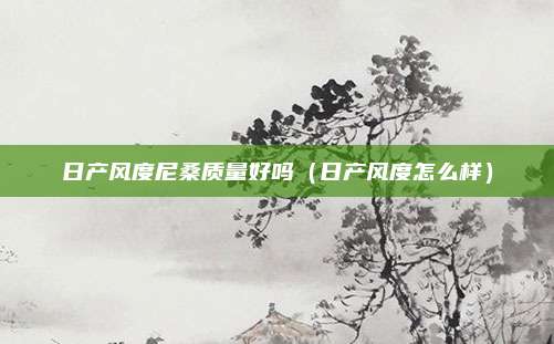 日产风度尼桑质量好吗(日产风度怎么样)
