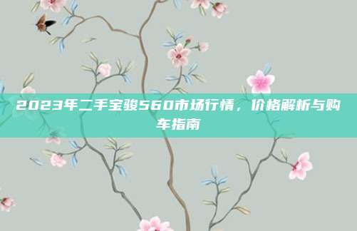 2023年二手宝骏560市场行情,价格解析与购车指南