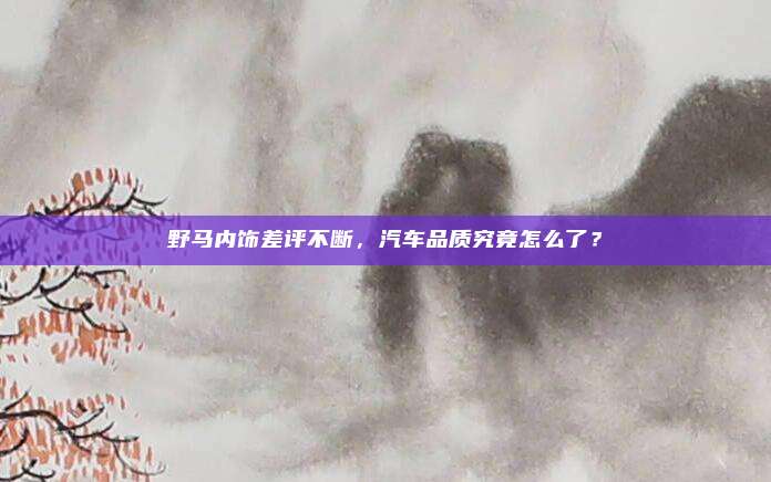 野马内饰差评不断,汽车品质究竟怎么了?