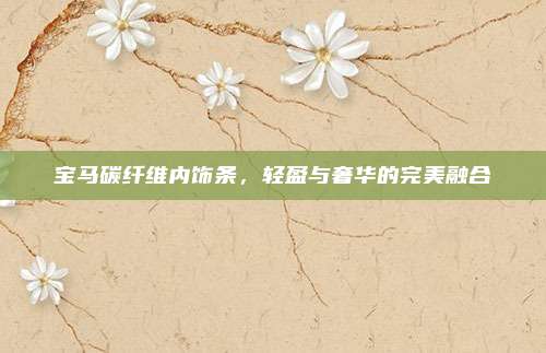 宝马碳纤维内饰条,轻盈与奢华的完美融合
