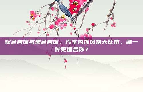 棕色内饰与黑色内饰,汽车内饰风格大比拼,哪一种更适合你?