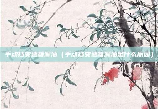 手动挡变速箱漏油（手动挡变速箱漏油是什么原因）