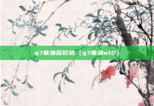 q7柴油版价格（q7柴油w12）