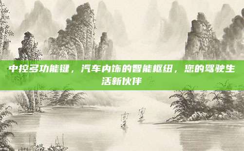 中控多功能键,汽车内饰的智能枢纽,您的驾驶生活新伙伴