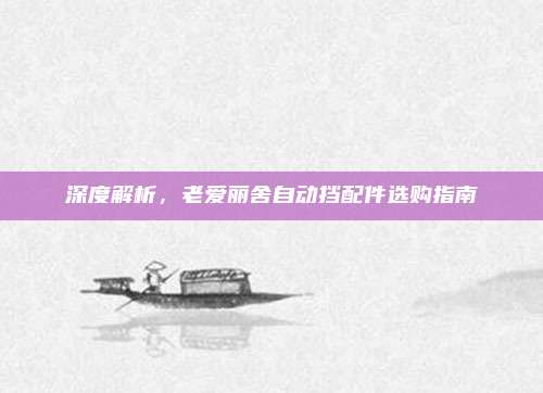 深度解析,老爱丽舍自动挡配件选购指南