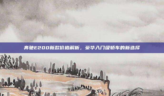 奔驰E200新款价格解析,豪华入门级轿车的新选择