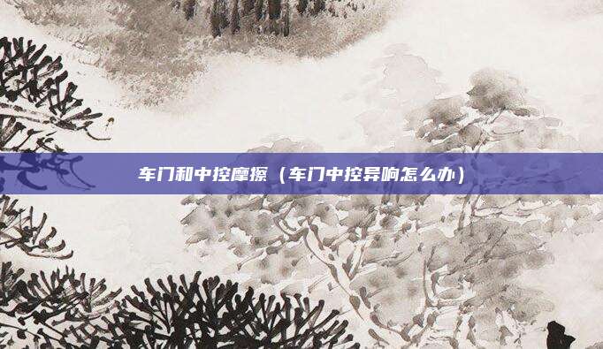 车门和中控摩擦(车门中控异响怎么办)