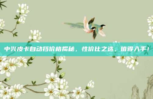 中兴皮卡自动挡价格揭秘,性价比之选,值得入手!
