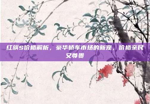 红旗S价格解析,豪华轿车市场的新宠,价格亲民又尊贵