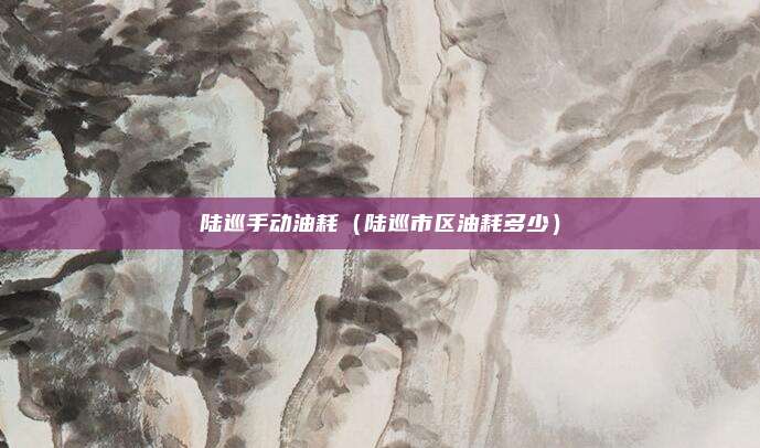 陆巡手动油耗(陆巡市区油耗多少)