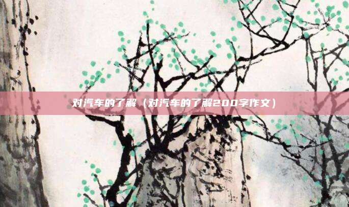 对汽车的了解(对汽车的了解200字作文)