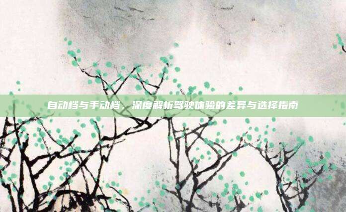 自动档与手动档,深度解析驾驶体验的差异与选择指南
