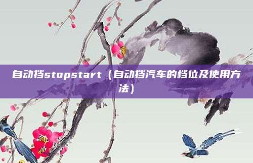 自动挡stopstart（自动挡汽车的档位及使用方法）
