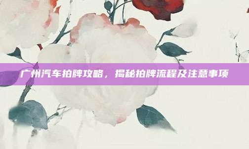 广州汽车拍牌攻略,揭秘拍牌流程及注意事项