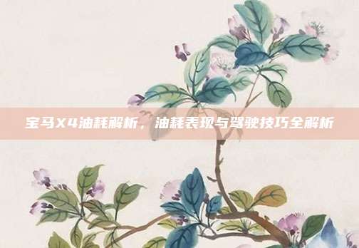 宝马X4油耗解析,油耗表现与驾驶技巧全解析