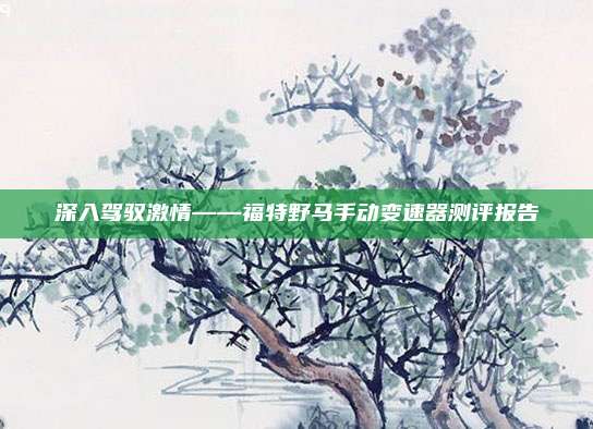 深入驾驭激情——福特野马手动变速器测评报告